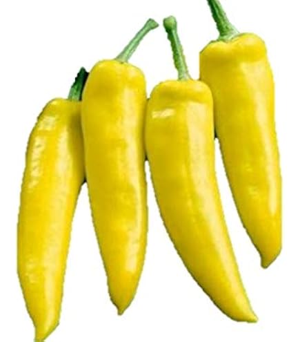Amazon.co.jp: トウガラシ種子 カンブチ Pimenta Cambuci（ピメンタ